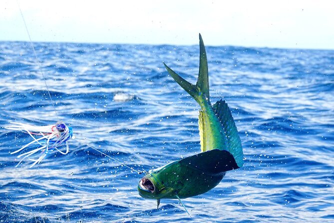 1/2 Day 5 Hour Offshore Fishing Charter - Is $175.72 good value for five hours?