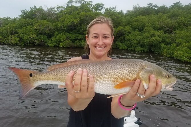 1/2 Day Morning Charter Fishing Naples Marco Everglades Sanibel - Live bait and a wide mix of fish