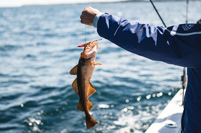 2 Hour Fishing Experience in Halifax - Weather, waves, and seasickness