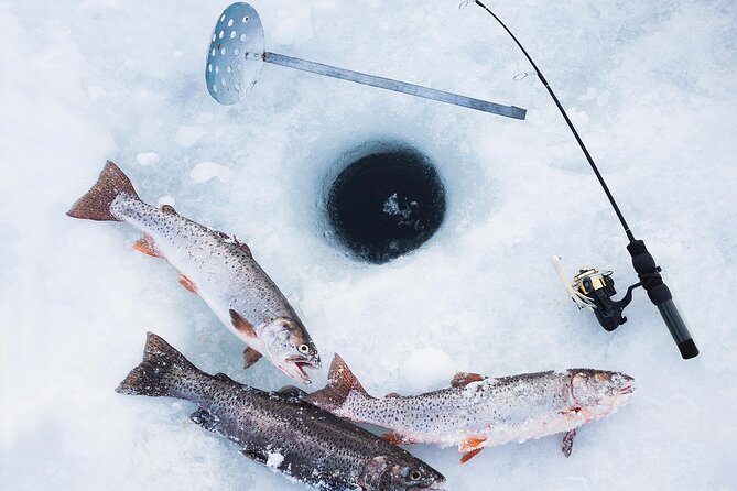 2-Hour Ice Fishing Experience in Rovaniemi, Finland - Local stories from Pauline and an unexpected wildlife moment