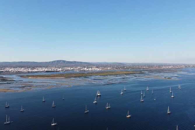 2 Hours Boat Tour Fishermen's Route in Ria Formosa - What the guides add to the ride