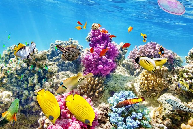 24 Hours Private Boat Snorkeling sea trip and Fishing With equipment - Hurghada - Leaving Hurghada at 8 am