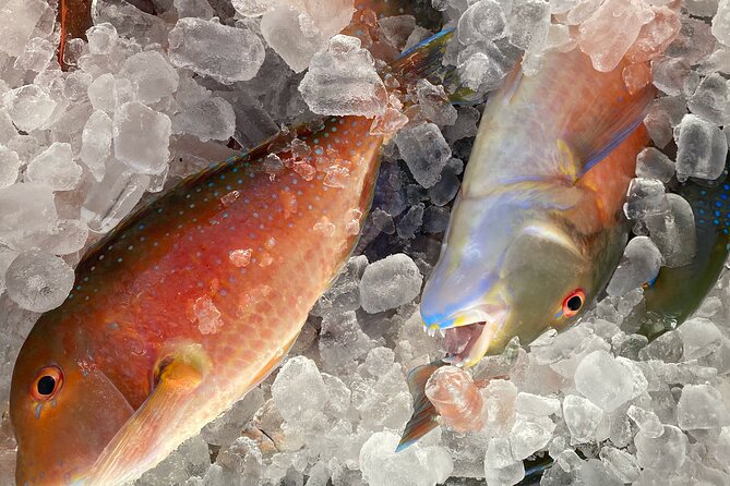 3/4 Day 7 Hour Offshore Fishing Charter - Why Catch 22 suits a small group