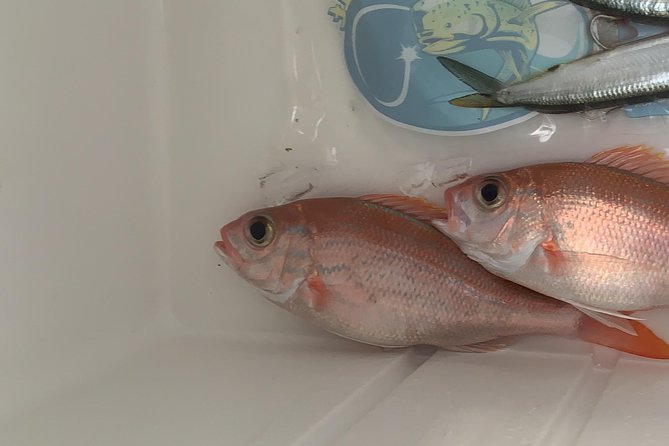 3/4 day deep sea /light tackle fishing - Timing, weather, and cancellation rules