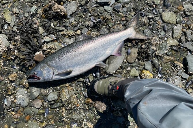 3 Hour Fishing Experience/Class in Juneau - Your chance at silver salmon
