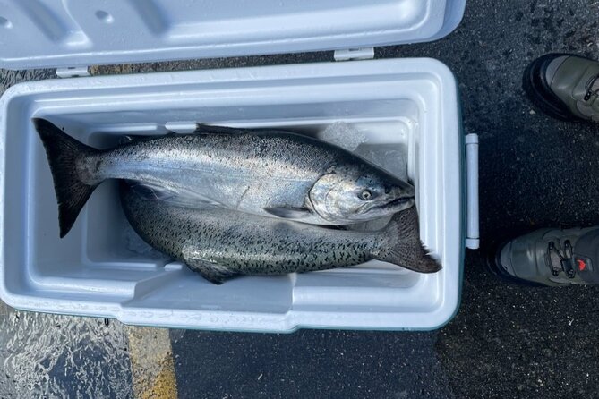 3 Hour Fishing Experience/Class in Juneau - Who should book this shore-fishing class?