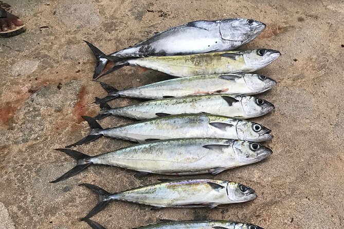 3-Hour Fishing Trip in Waikiki - Key points to know before booking