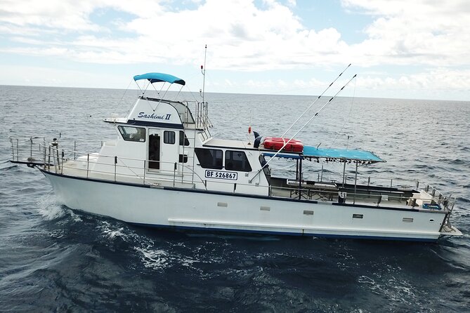 3-Hour Honolulu Bottom Fishing Adventure - What this Honolulu fishing trip is really like
