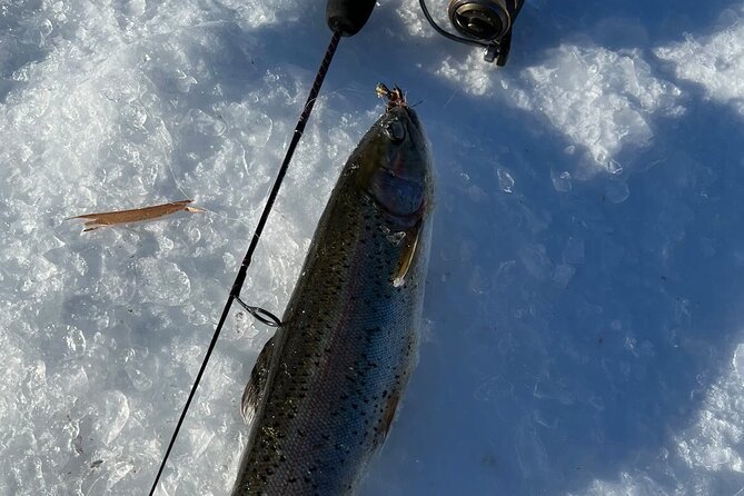 3 Hour Ice Fishing Experience - Catch and Release, With a Cooked Fish Option