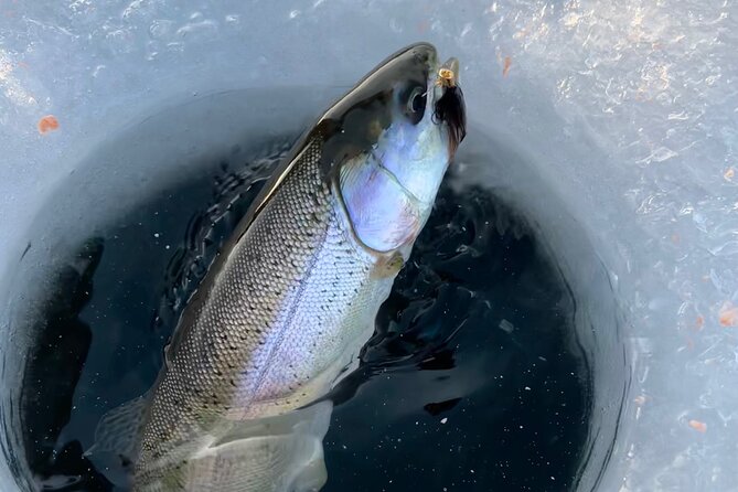 3 Hour Ice Fishing Experience - Who Should Book This Fairbanks Activity?