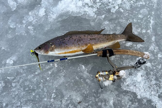 3 Hour Ice Fishing Experience - Fishing Inside a Heated Hut or Outside