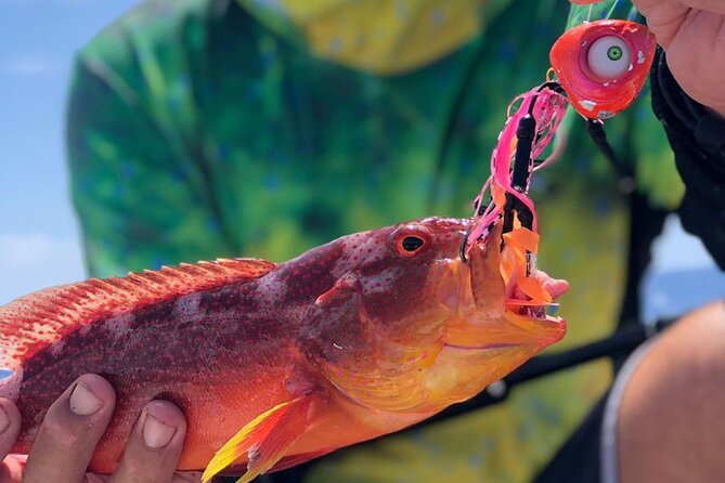 4 Hour Ariki Fishing Activity in Moorea - What the 8:00 a.m. Start Looks Like