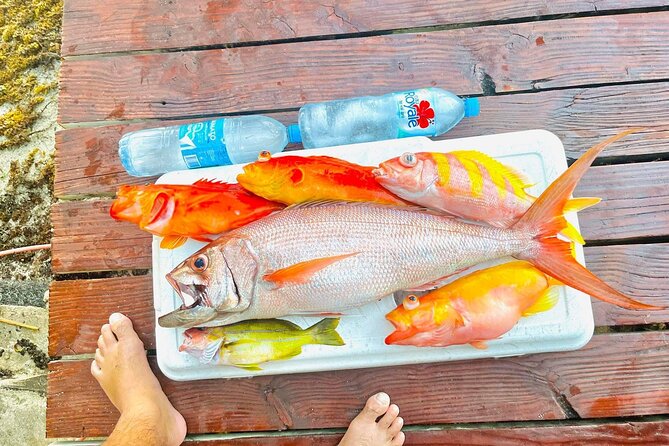 4 Hour Ariki Fishing Activity in Moorea - Bird Watching and Fish Spotting Between Casts