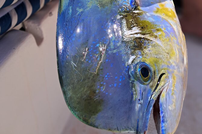4 Hour Costa Maya Fishing and Snorkeling Experience - One hour over the Great Mesoamerican Reef