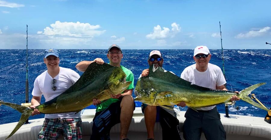 4 hour deep sea fishing experience from punta cana - Key points before you book