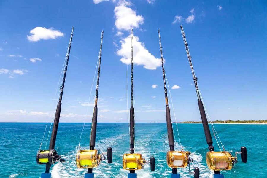 4 hour deep sea fishing experience from punta cana - Four hours of trolling off Punta Cana