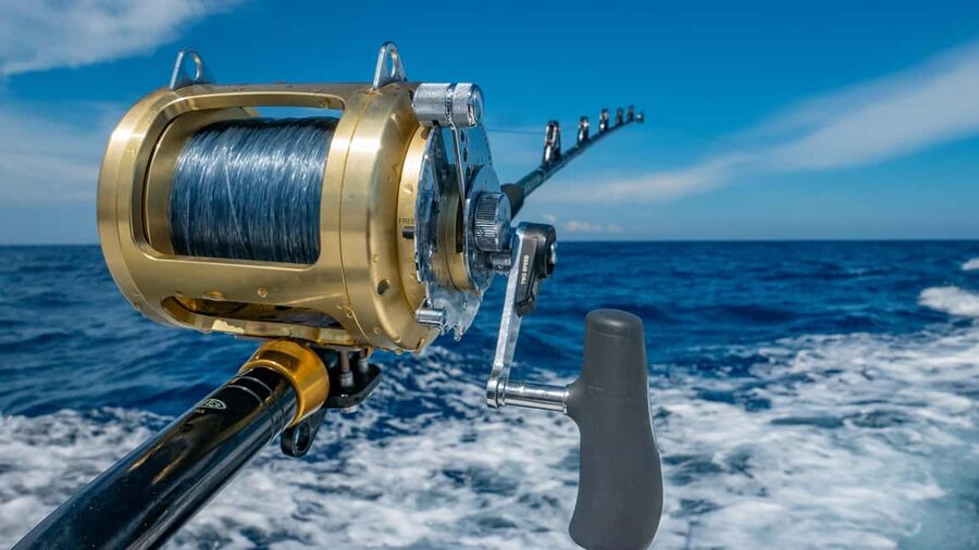 4 hour deep sea fishing experience from punta cana - How the fishing actually works