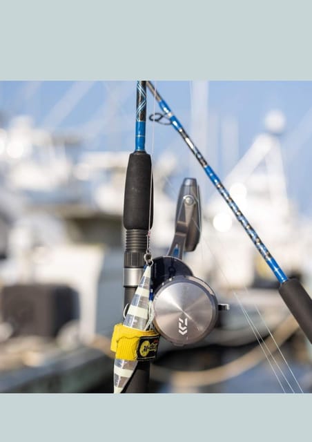 4 hour deep sea fishing experience from punta cana - The fish you might bring aboard