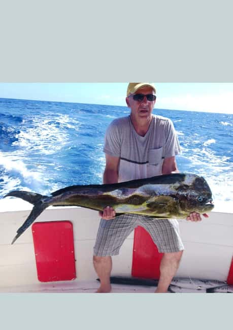 4 hour deep sea fishing experience from punta cana - What happens from pickup to the harbor