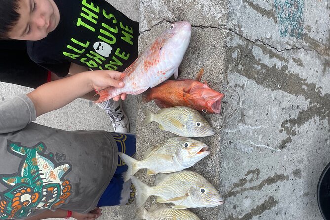 4-Hour Fishing Charter in Nassau - Key points to know before you book