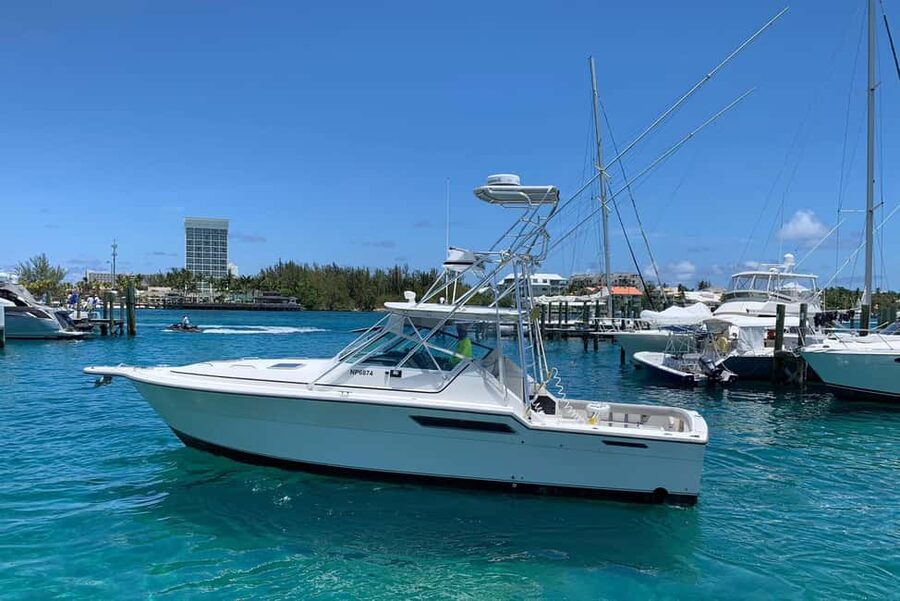 4 hour Fishing or Snorkeling - Picking Between Deep Sea and Light Tackle Fishing