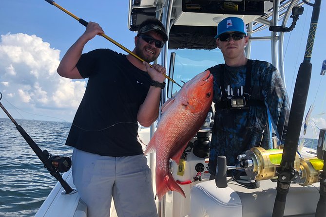 4-Hour Private Near-Shore Fishing Charter from Orange Beach - Fishing reefs and wrecks near Orange Beach