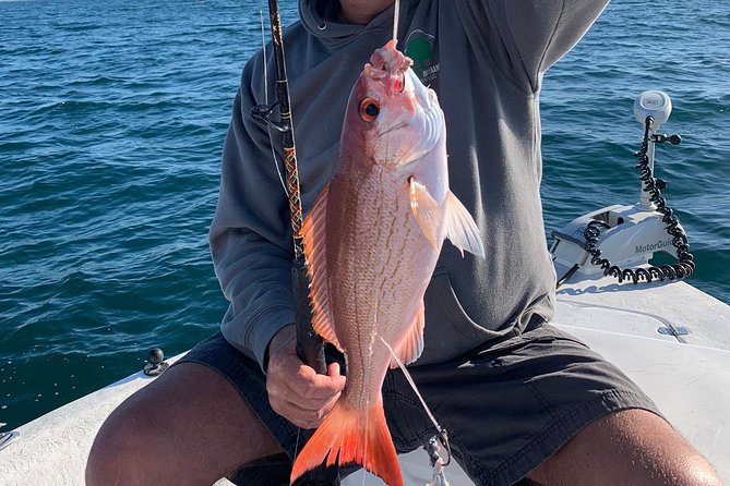 4-Hour Private Near-Shore Fishing Charter from Orange Beach - Choosing between the 22-foot Mako and 24-foot Blazer Bay