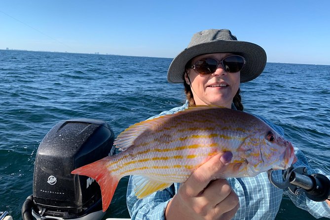 4-Hour Private Near-Shore Fishing Charter from Orange Beach - Comfort, safety, and practical limits