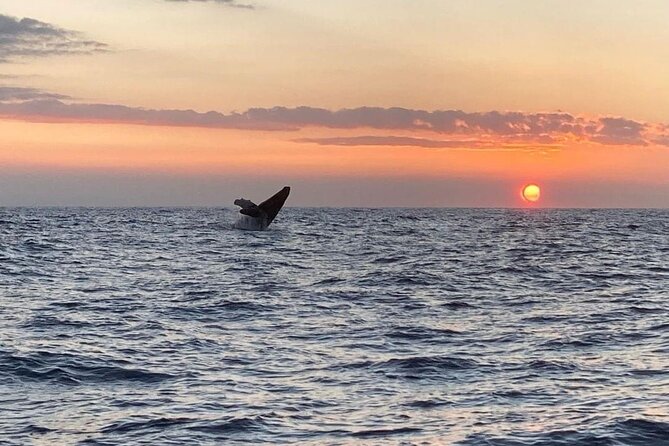 4 Hour Private Sunset Fishing Charter - The sunset setting adds atmosphere, not certainty