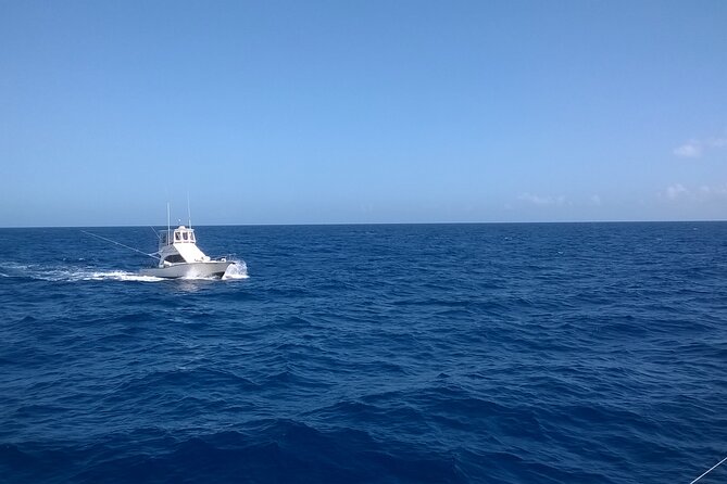 4 Hour Punta Cana Fishing Tour - Four hours of Atlantic trolling from Punta Cana