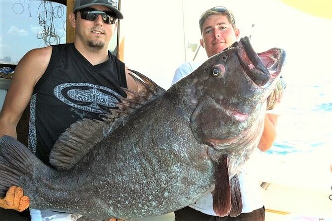 4-Hour Shared Big Game Deep Sea Fishing Charter in Fort Lauderdale - Fish you might catch, from mahi to sharks