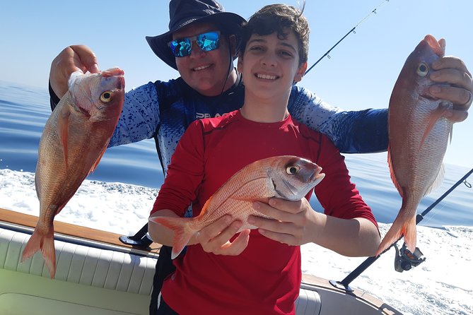 4 Hours Bottom Fishing Day by boat from Marbella - Watching for dolphins on the ride out