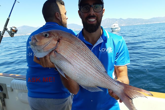 4 Hours Bottom Fishing Day by boat from Marbella - What you may catch, and what happens next