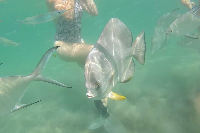 4H Snorkeling and Fishing Cruise on Magnetic Island - Why a small cruise works well on Magnetic Island