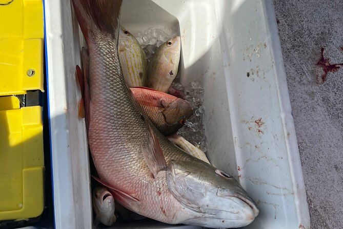 4HR-Halfday Private Fishing Tour in Gracebay - Who will enjoy this morning on the water?