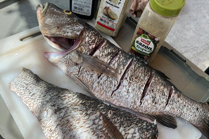 4HR-Halfday Private Fishing Tour in Gracebay - Should you book the Grace Bay fishing trip?