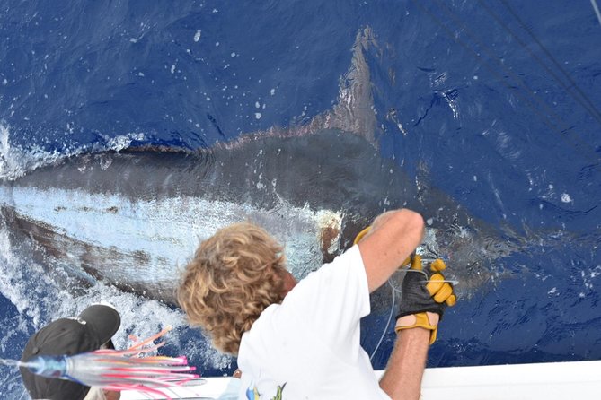 6 Hour Fishing Charter - Key points to know before booking