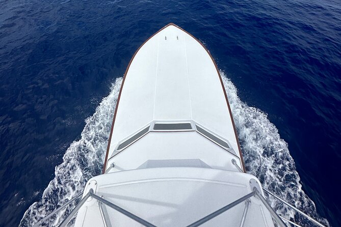 6 Hour Fishing Charter - Big-game tackle and what IGFA certification means