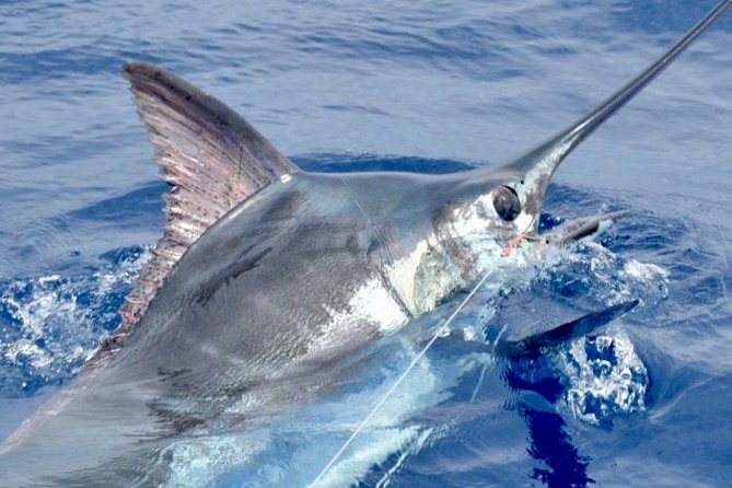6 Hour Fishing Charter - A private plan instead of a fixed fishing script