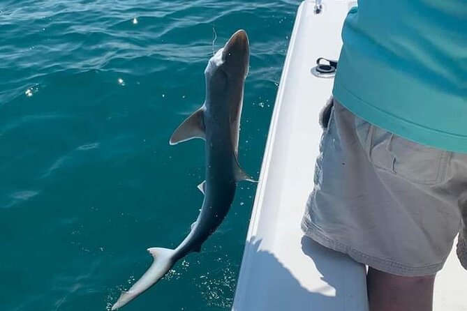 6 Hour Private Fishing Tour in Sarasota with Master Captain Bill - The Sunshine Skyway Bridge and the coastal setting