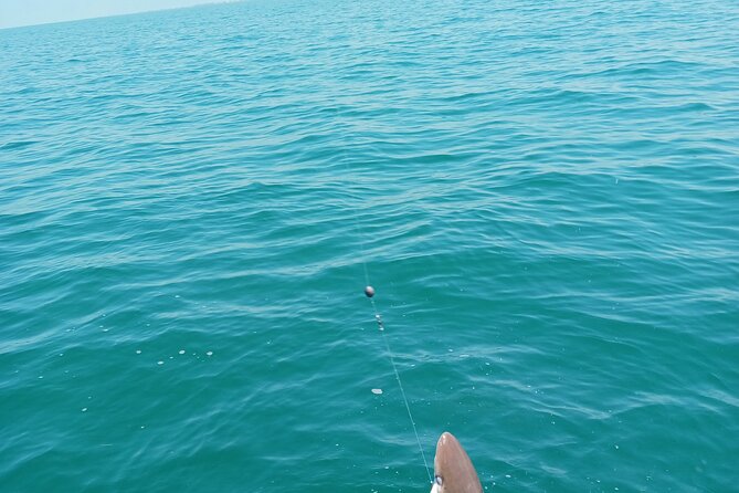 6 Hour Private Fishing Tour in Sarasota with Master Captain Bill - Is the $425 price worth it?