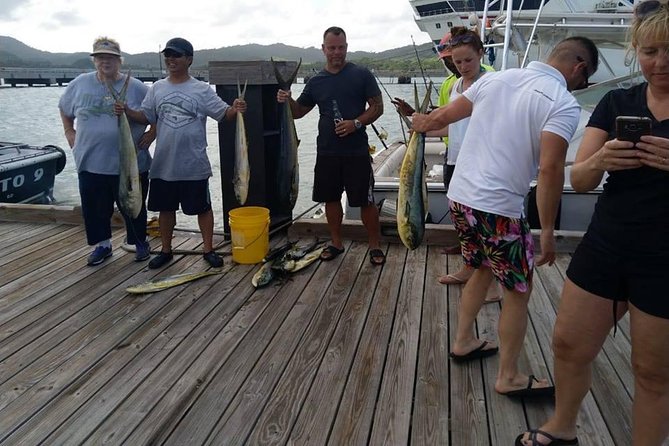 6 Hours Big Game Fishing - Pickup around Puerto Plata, Sosua, and Cabarete