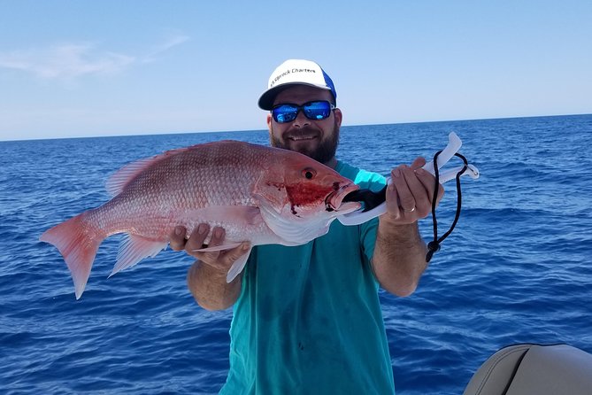 6HR Fishing Charter - Leaving from Belleair Causeway at 8:00 am