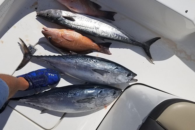 6HR Fishing Charter - A private boat makes the day more relaxed