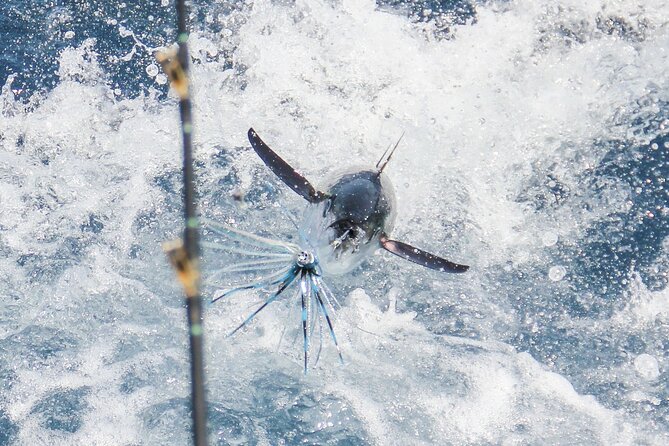 8 Hours Private Sport Fishing Charter Trip in Cabo San Lucas - What the eight-hour schedule may feel like