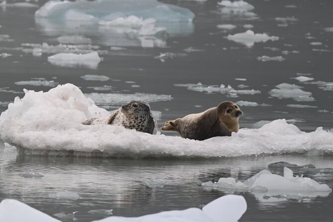 8hr Kenai Fjords Whale Watching Tour w/ 1hr Fishing 16 Passengers - What to Pack for Eight Hours
