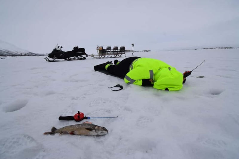 Abisko: Ice Fishing Experience - Clear water and fish you can actually see