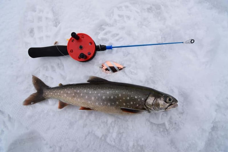 Abisko: Ice Fishing Experience - What is included for $99