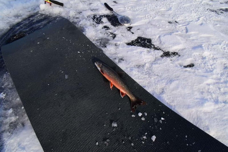 Abisko: Ice Fishing Experience - Can you keep the fish?