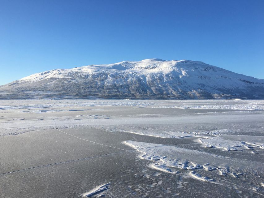 Abisko: Lake Torneträsk Arctic Ice Fishing Trip - Key points at a glance
